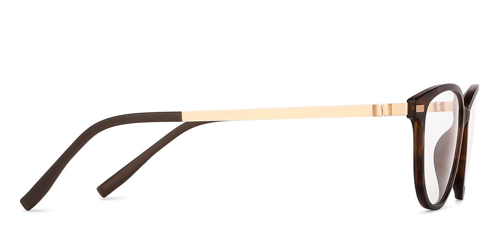 -Frame Cat Eye--EG -Frame Cat Eye--EG