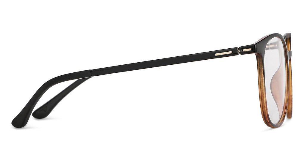 -Frame Wayfarer--EG -Frame Wayfarer--EG