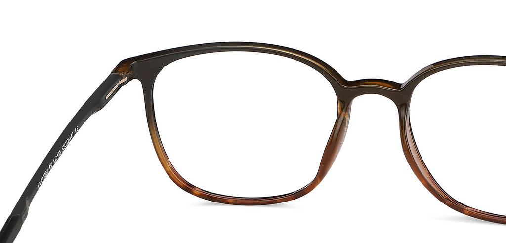 -Frame Wayfarer--EG -Frame Wayfarer--EG