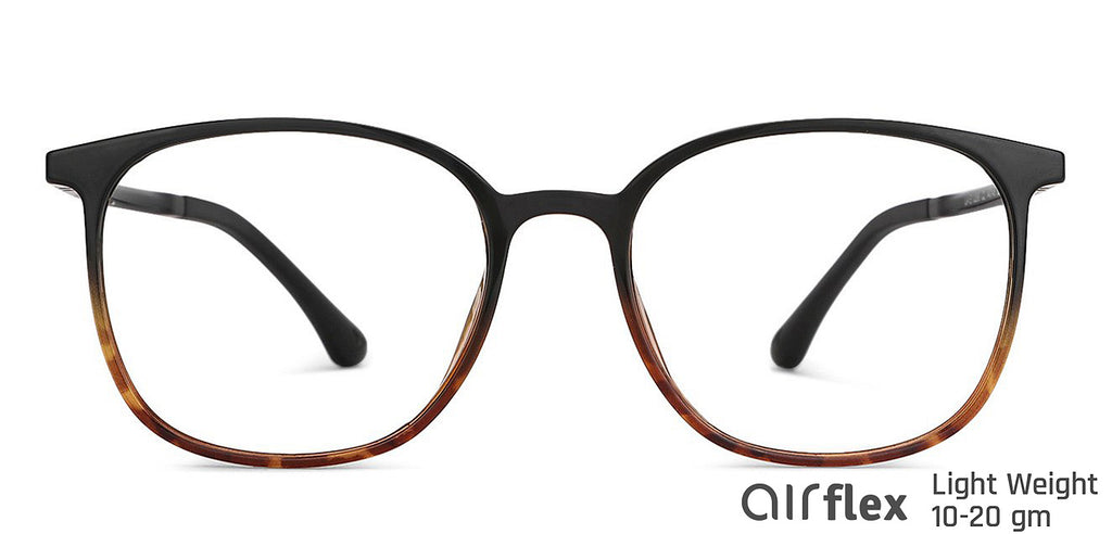 -Frame Wayfarer--EG -Frame Wayfarer--EG