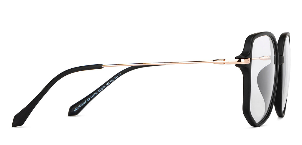 Eyeglasses-Frame Hexagonal--EG Eyeglasses-Frame Hexagonal--EG