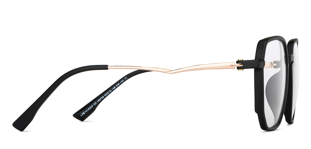 Eyeglasses-Frame Hexagonal--EG Eyeglasses-Frame Hexagonal--EG