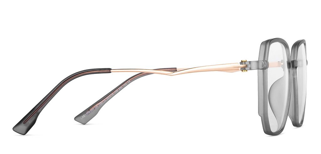 Eyeglasses-Frame Hexagonal--EG Eyeglasses-Frame Hexagonal--EG