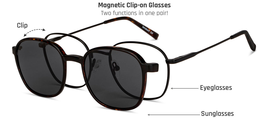 -Frame Wayfarer--EG -Frame Wayfarer--EG