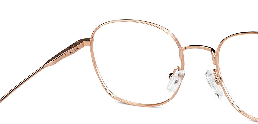 -Frame Wayfarer--EG -Frame Wayfarer--EG