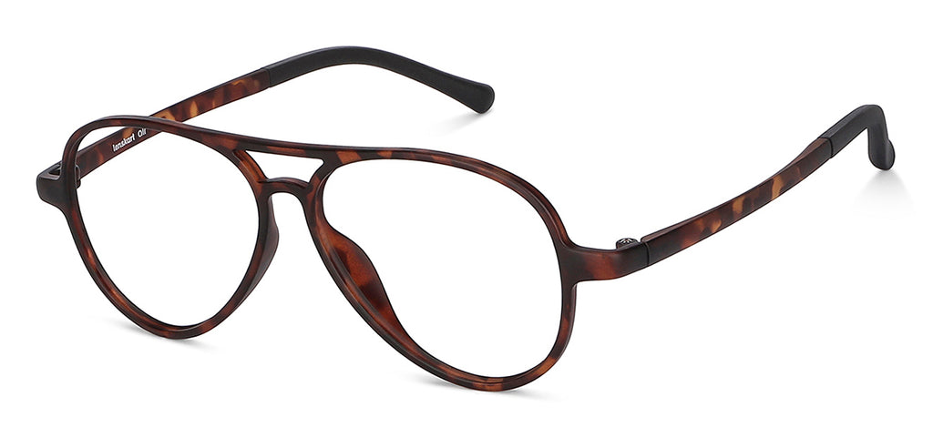 -Frame Aviator--EG -Frame Aviator--EG