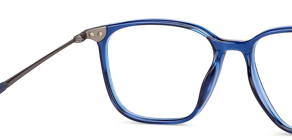 -Frame Wayfarer--EG -Frame Wayfarer--EG