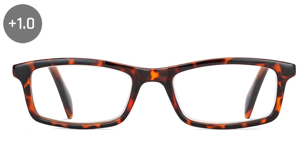 Eyeglasses---EG Eyeglasses---EG