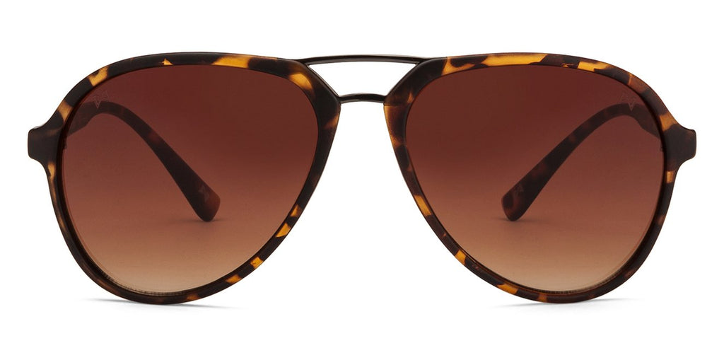 Aviator Sunglasses-Frame Aviator--SG Aviator Sunglasses-Frame Aviator--SG