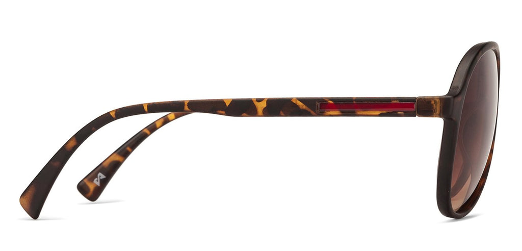 Aviator Sunglasses-Frame Aviator--SG Aviator Sunglasses-Frame Aviator--SG