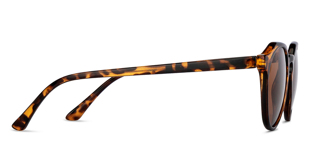 Vincent Chase Sunglasses-Frame Round--SG Vincent Chase Sunglasses-Frame Round--SG