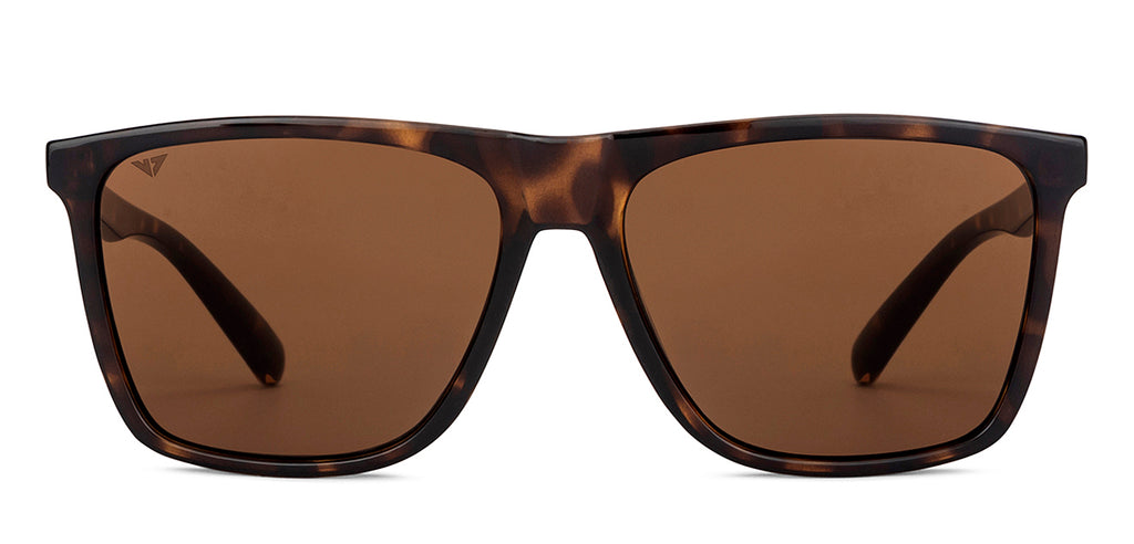 -Frame Wayfarer--SG -Frame Wayfarer--SG