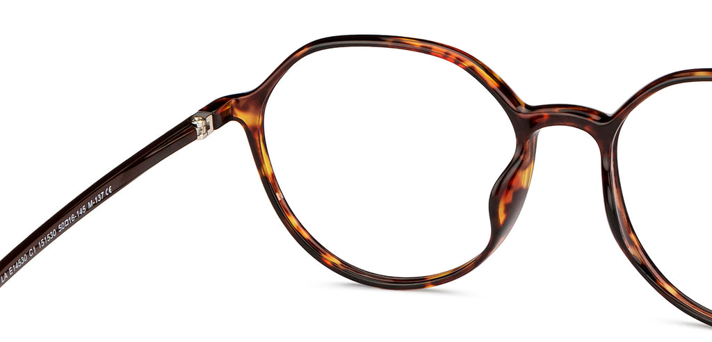 Transition Eyeglasses-Frame Round--EG Transition Eyeglasses-Frame Round--EG