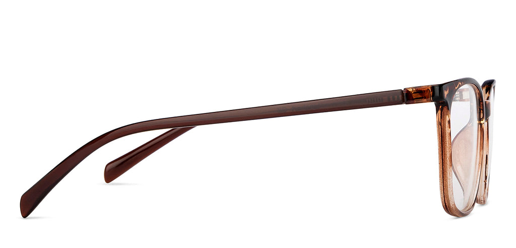 -Frame Wayfarer--EG -Frame Wayfarer--EG