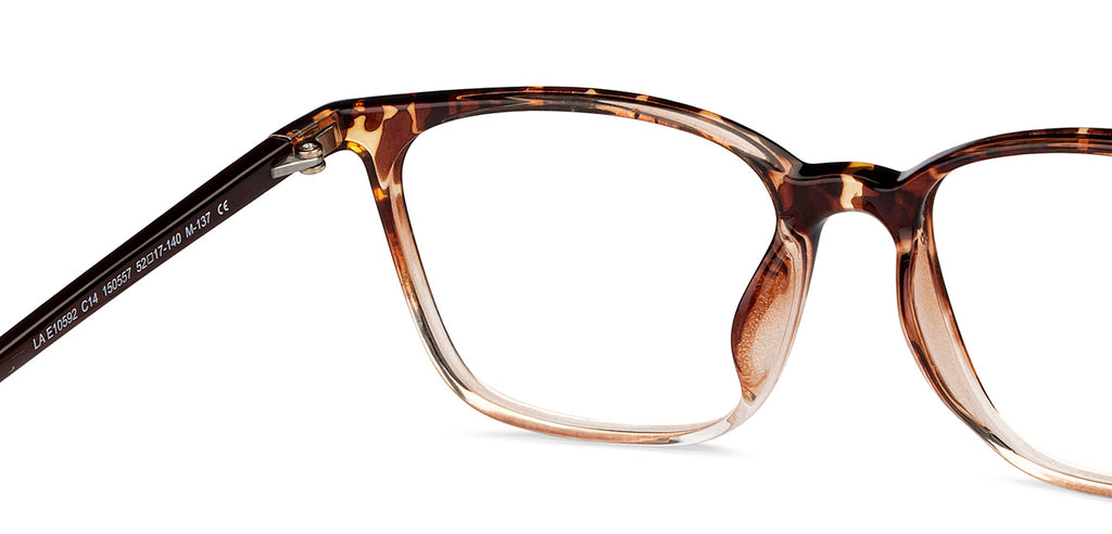 -Frame Wayfarer--EG -Frame Wayfarer--EG