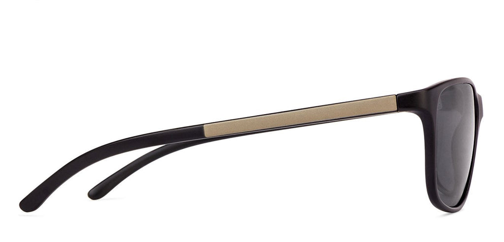 -Frame Wayfarer--SG -Frame Wayfarer--SG