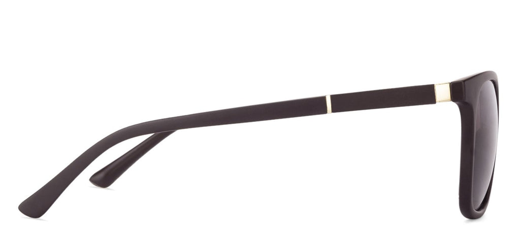 Wayfarer Sunglasses-Frame Wayfarer--SG Wayfarer Sunglasses-Frame Wayfarer--SG