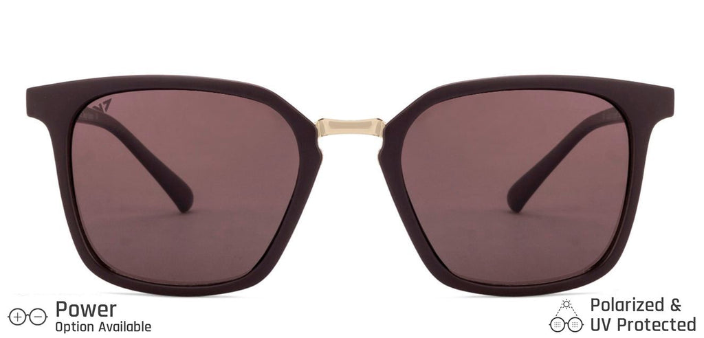 Wayfarer Sunglasses-Frame Wayfarer--SG Wayfarer Sunglasses-Frame Wayfarer--SG