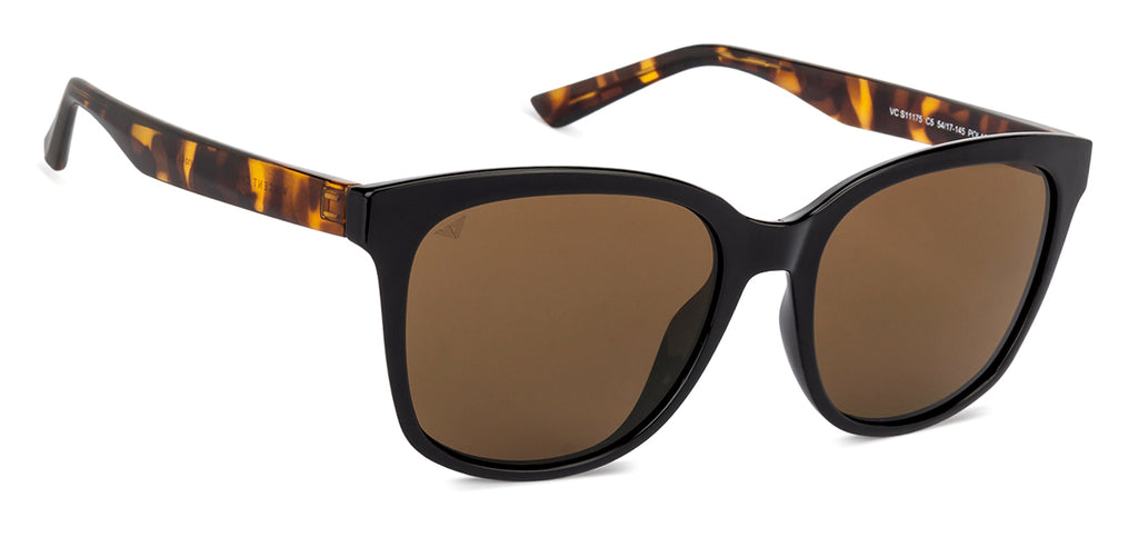 -Frame Wayfarer--SG -Frame Wayfarer--SG