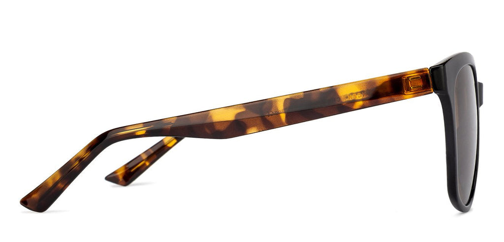 -Frame Wayfarer--SG -Frame Wayfarer--SG