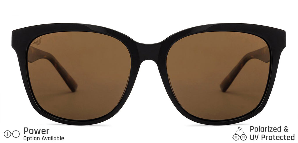 -Frame Wayfarer--SG -Frame Wayfarer--SG