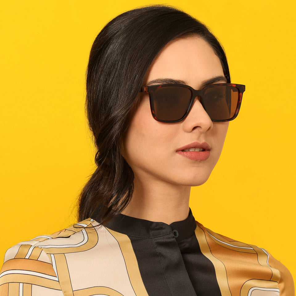 -Frame Wayfarer--SG -Frame Wayfarer--SG