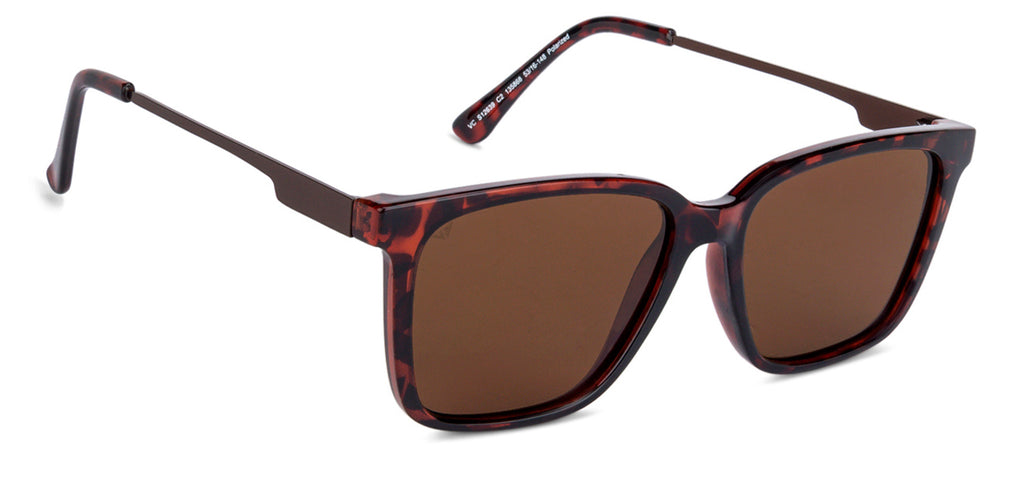 -Frame Wayfarer--SG -Frame Wayfarer--SG