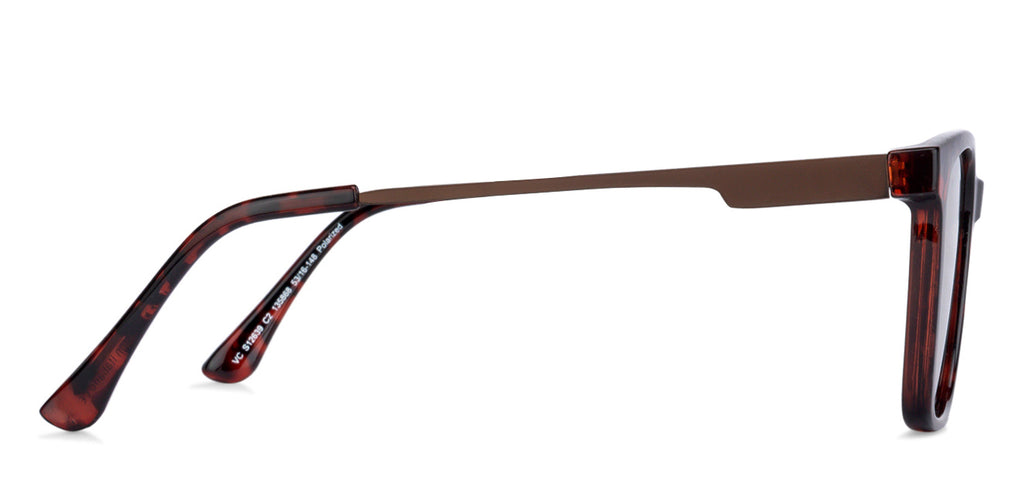 -Frame Wayfarer--SG -Frame Wayfarer--SG