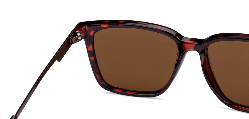 -Frame Wayfarer--SG -Frame Wayfarer--SG