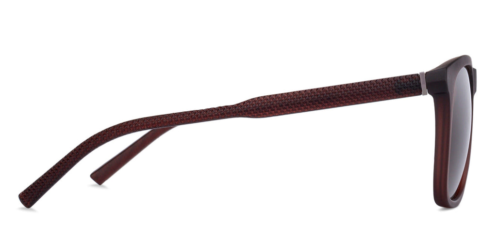 -Frame Wayfarer--SG -Frame Wayfarer--SG