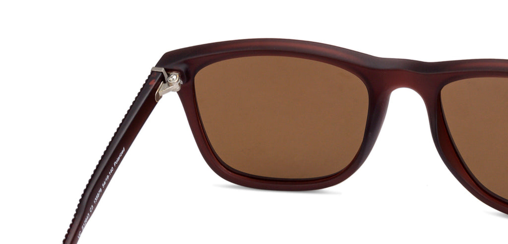 -Frame Wayfarer--SG -Frame Wayfarer--SG