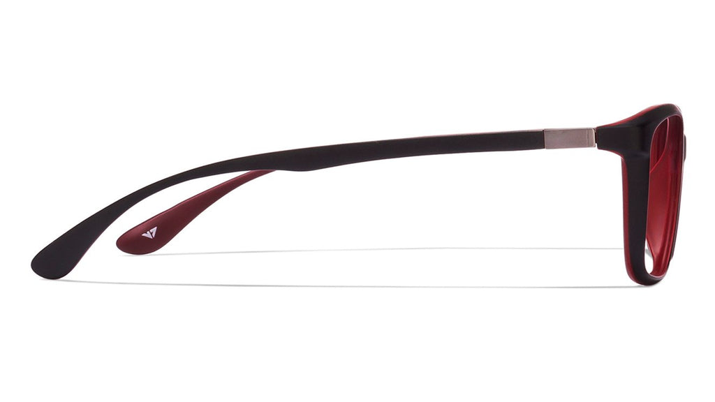 -Frame Wayfarer--EG -Frame Wayfarer--EG