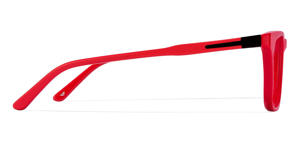 -Frame Wayfarer--EG -Frame Wayfarer--EG