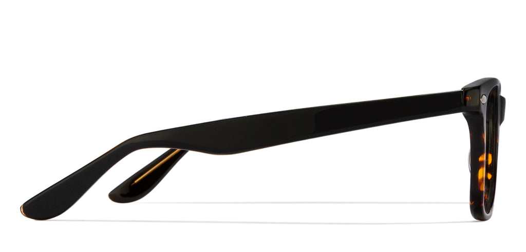 -Frame Wayfarer--EG -Frame Wayfarer--EG