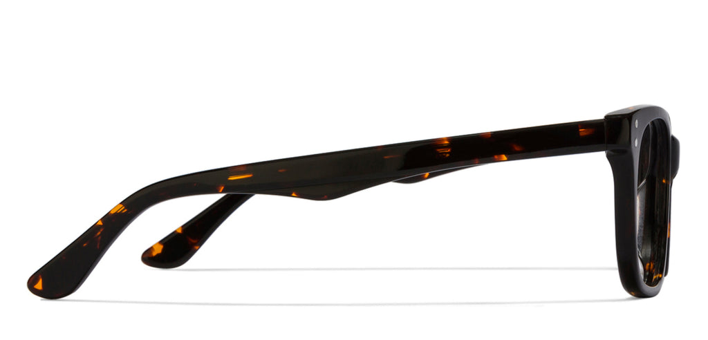 -Frame Wayfarer--EG -Frame Wayfarer--EG