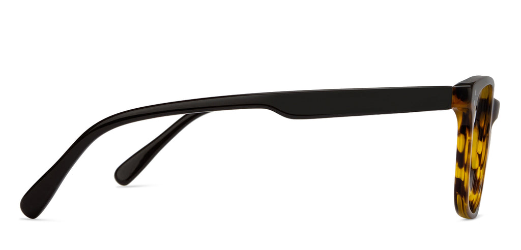 Wayfarer Eyeglasses-Frame Wayfarer--EG Wayfarer Eyeglasses-Frame Wayfarer--EG