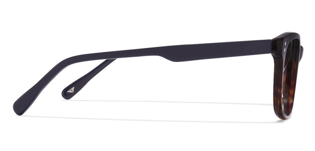 -Frame Wayfarer--EG -Frame Wayfarer--EG