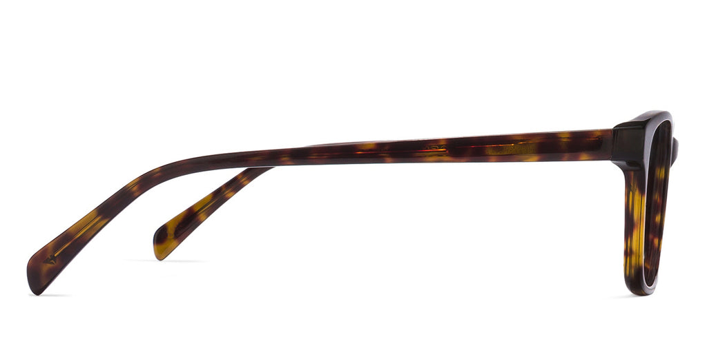 -Frame Wayfarer--EG -Frame Wayfarer--EG