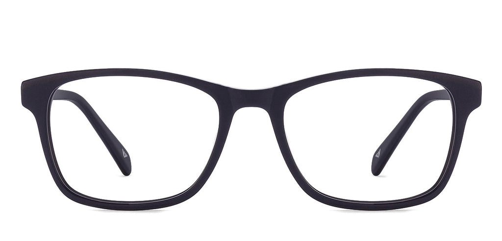 -Frame Wayfarer--EG -Frame Wayfarer--EG