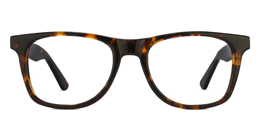-Frame Wayfarer--EG -Frame Wayfarer--EG