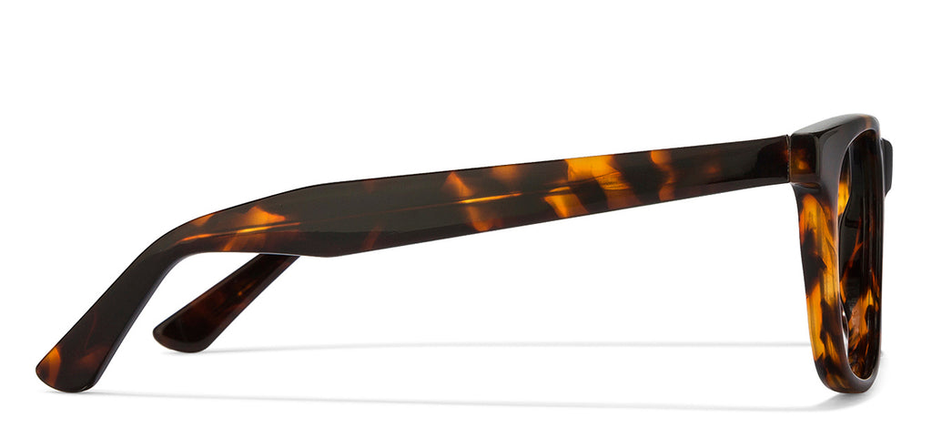 -Frame Wayfarer--EG -Frame Wayfarer--EG
