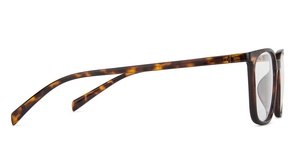 -Frame Wayfarer--EG -Frame Wayfarer--EG