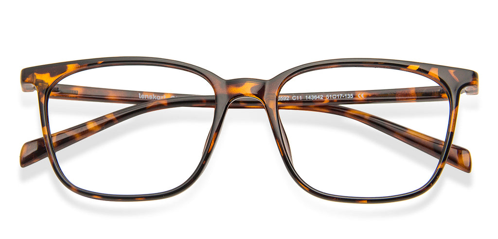 -Frame Wayfarer--EG -Frame Wayfarer--EG