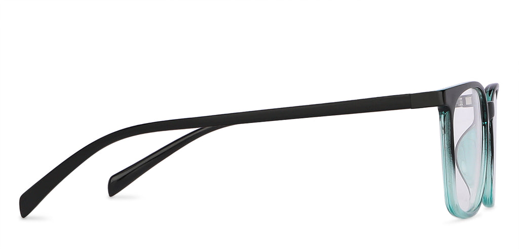 -Frame Wayfarer--EG -Frame Wayfarer--EG