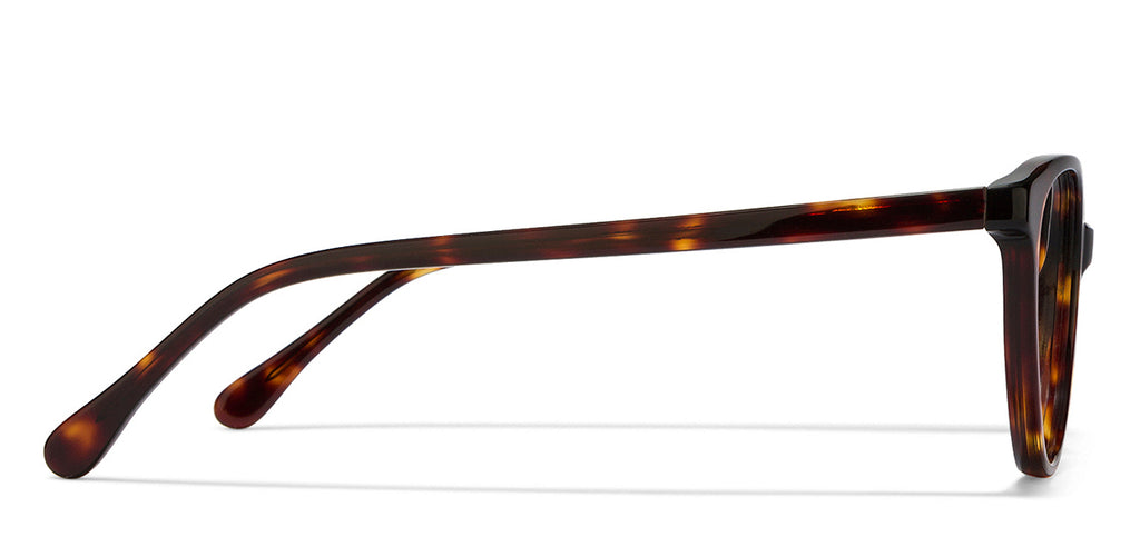 -Frame Cat Eye--EG -Frame Cat Eye--EG