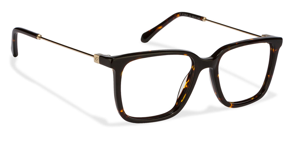 -Frame Wayfarer--EG -Frame Wayfarer--EG