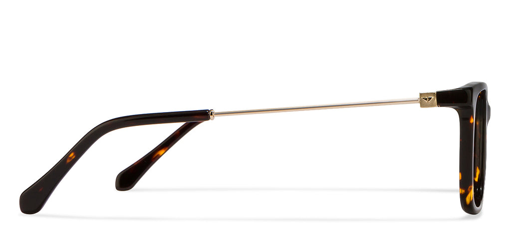 -Frame Wayfarer--EG -Frame Wayfarer--EG