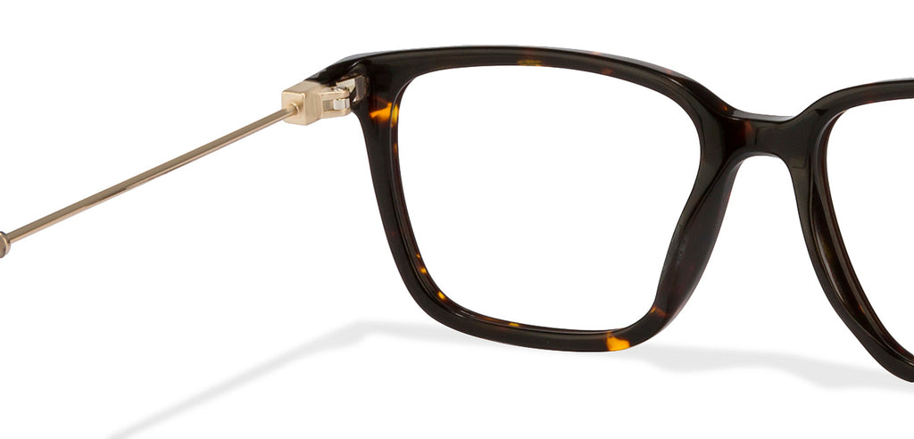 -Frame Wayfarer--EG -Frame Wayfarer--EG