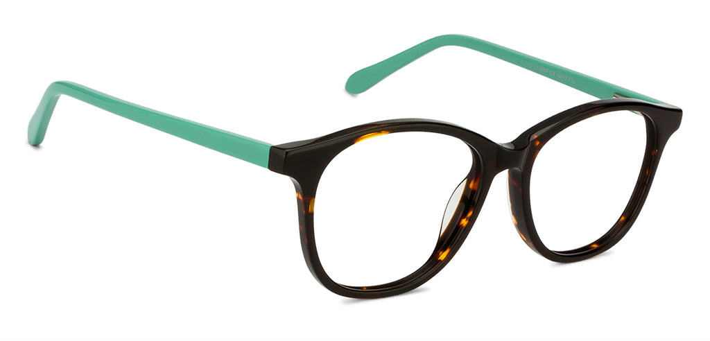 -Frame Wayfarer--EG -Frame Wayfarer--EG