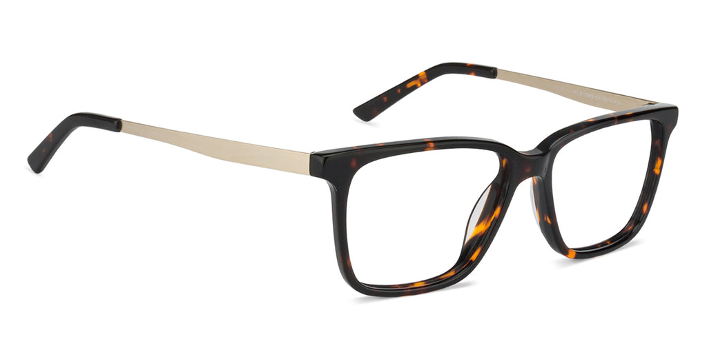 -Frame Wayfarer--EG -Frame Wayfarer--EG